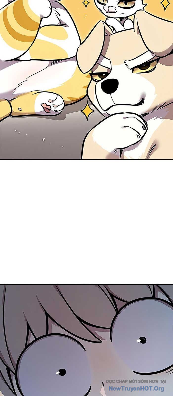 Hoá Thân Thành Mèo Chap 375 - Next Chap 376