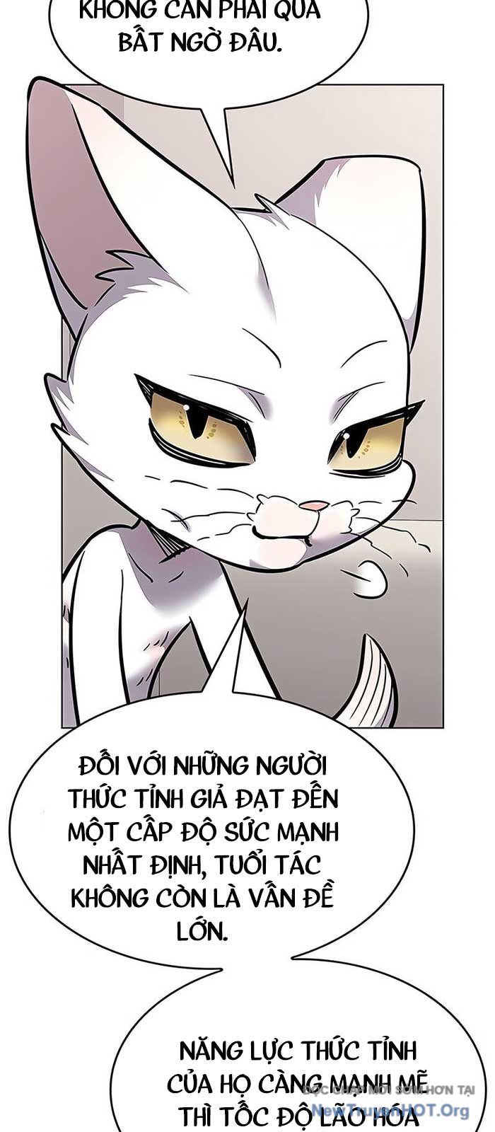 Hoá Thân Thành Mèo Chap 375 - Next Chap 376