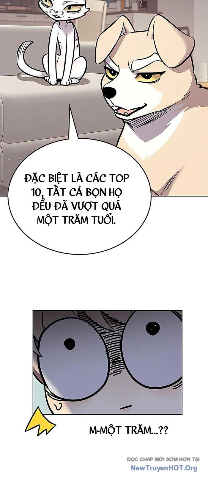 Hoá Thân Thành Mèo Chap 375 - Next Chap 376