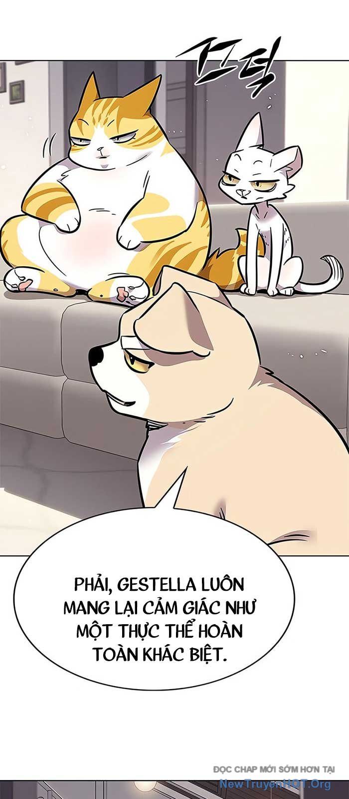 Hoá Thân Thành Mèo Chap 375 - Next Chap 376