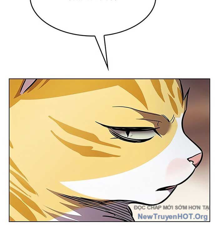 Hoá Thân Thành Mèo Chap 375 - Next Chap 376