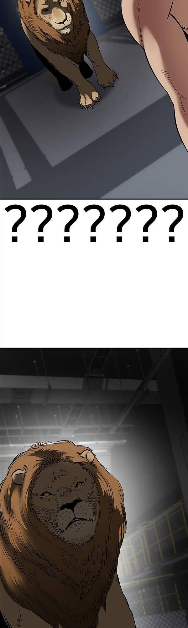 Giang Hồ Thực Thi Công Lý Chap 57 - Next Chap 58