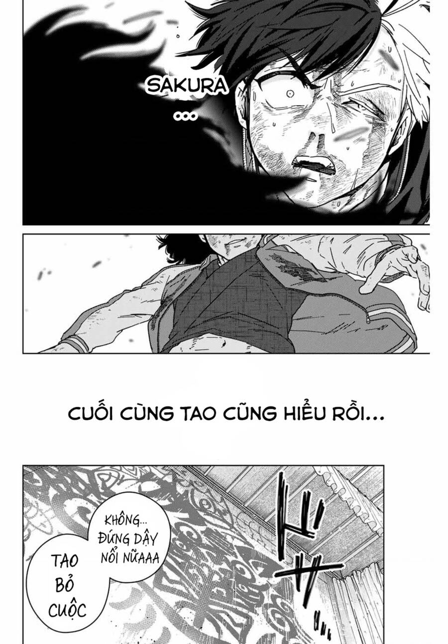 Wind Breaker (Nii Satoru) Chap 22 - Next Chap 23