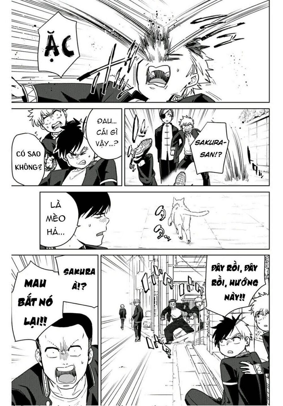 Wind Breaker (Nii Satoru) Chap 35 - Next Chap 36