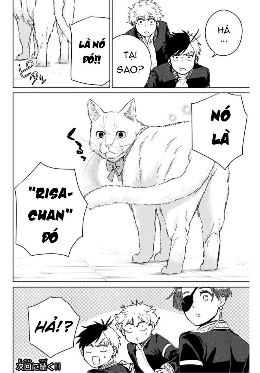 Wind Breaker (Nii Satoru) Chap 35 - Next Chap 36