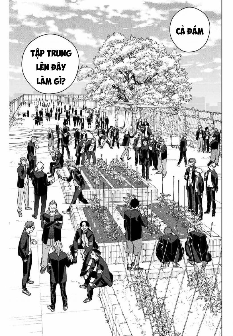 Wind Breaker (Nii Satoru) Chap 62 - Next Chap 63