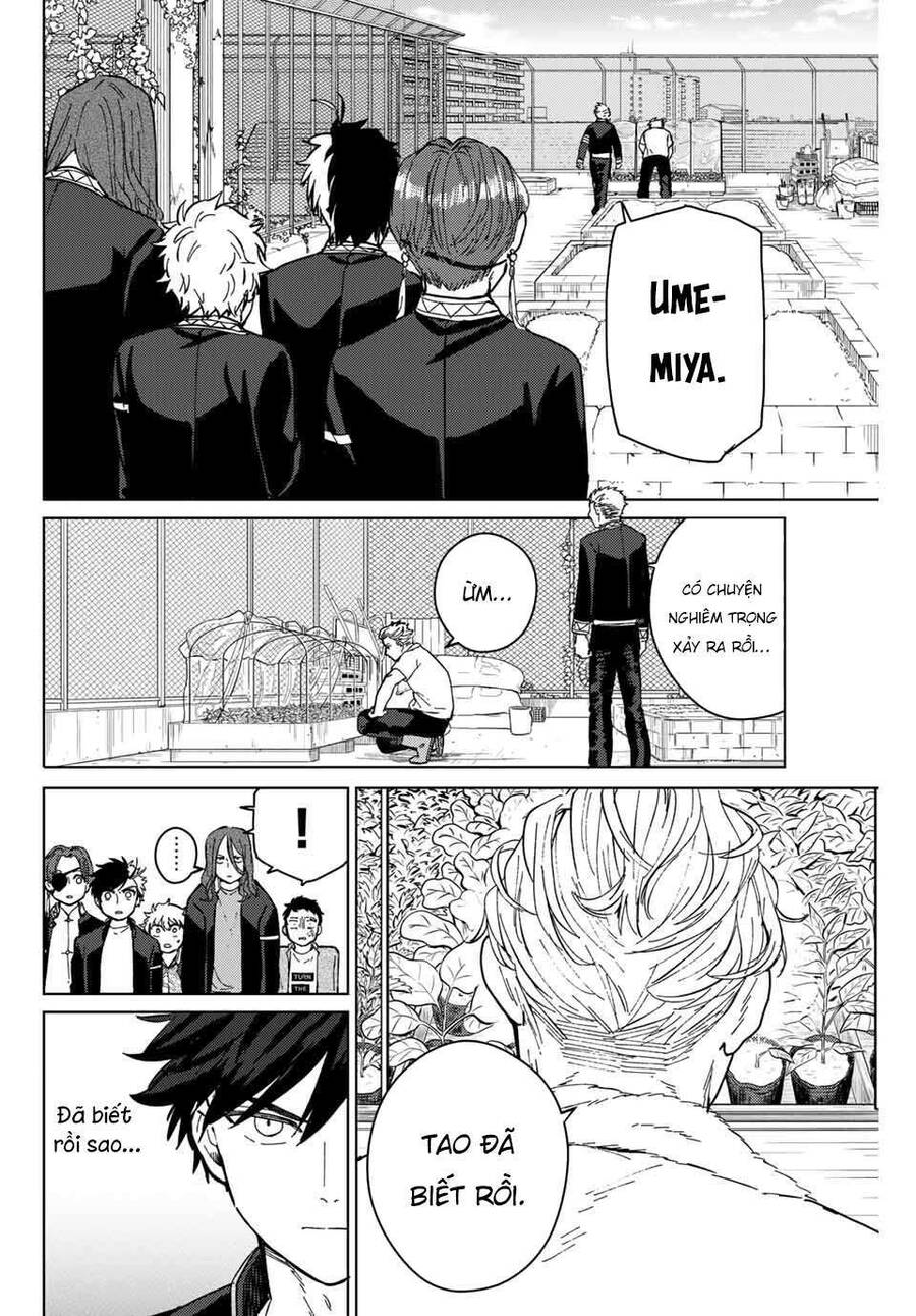 Wind Breaker (Nii Satoru) Chap 7 - Next Chap 8