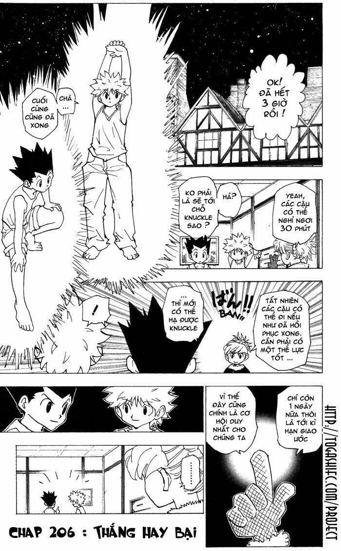 Hunter x Hunter Chap 206 - Next Chap 207