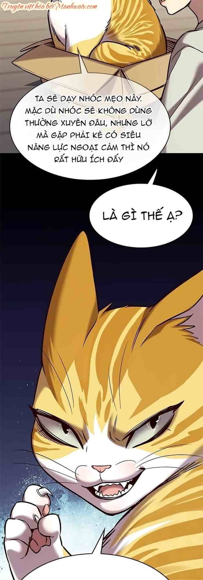 Hoá Thân Thành Mèo Chap 236 - Next Chap 237