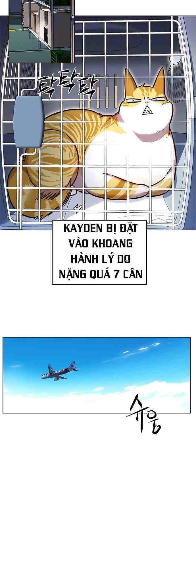 Hoá Thân Thành Mèo Chap 231 - Next Chap 232