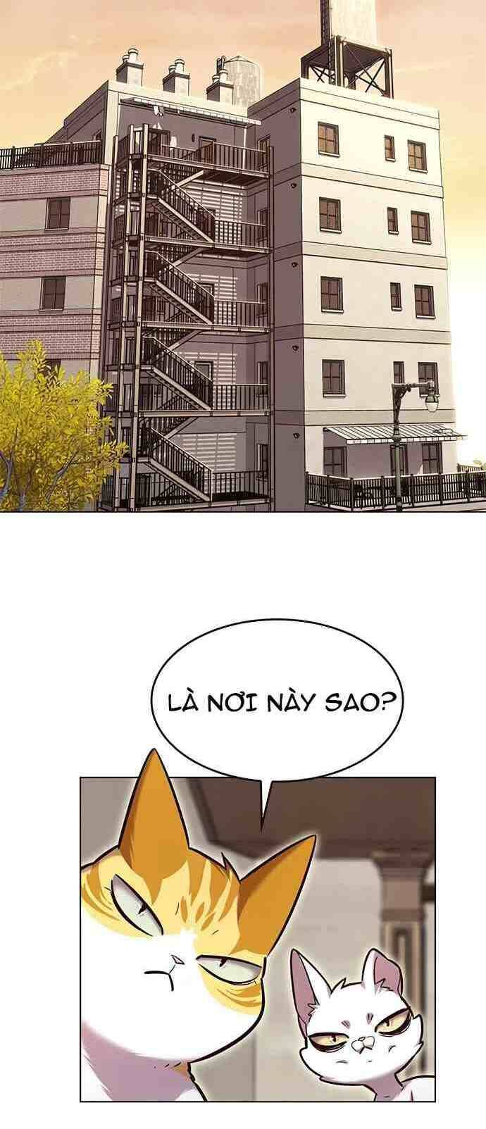 Hoá Thân Thành Mèo Chap 231 - Next Chap 232