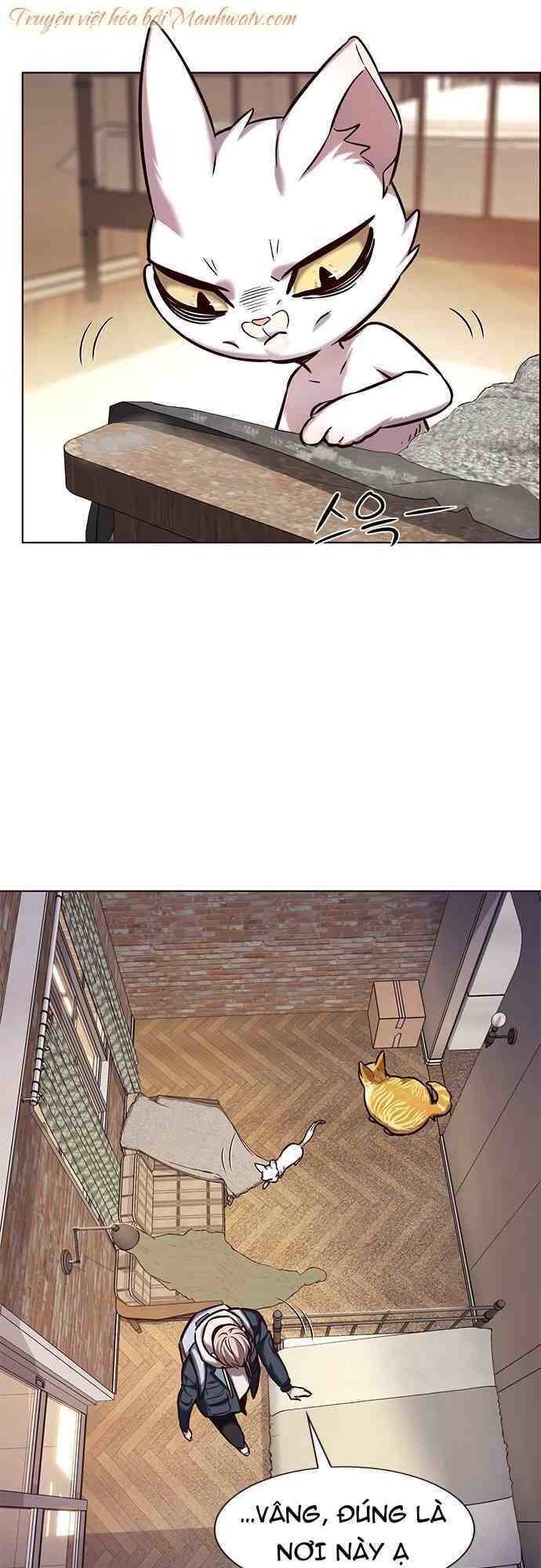 Hoá Thân Thành Mèo Chap 231 - Next Chap 232