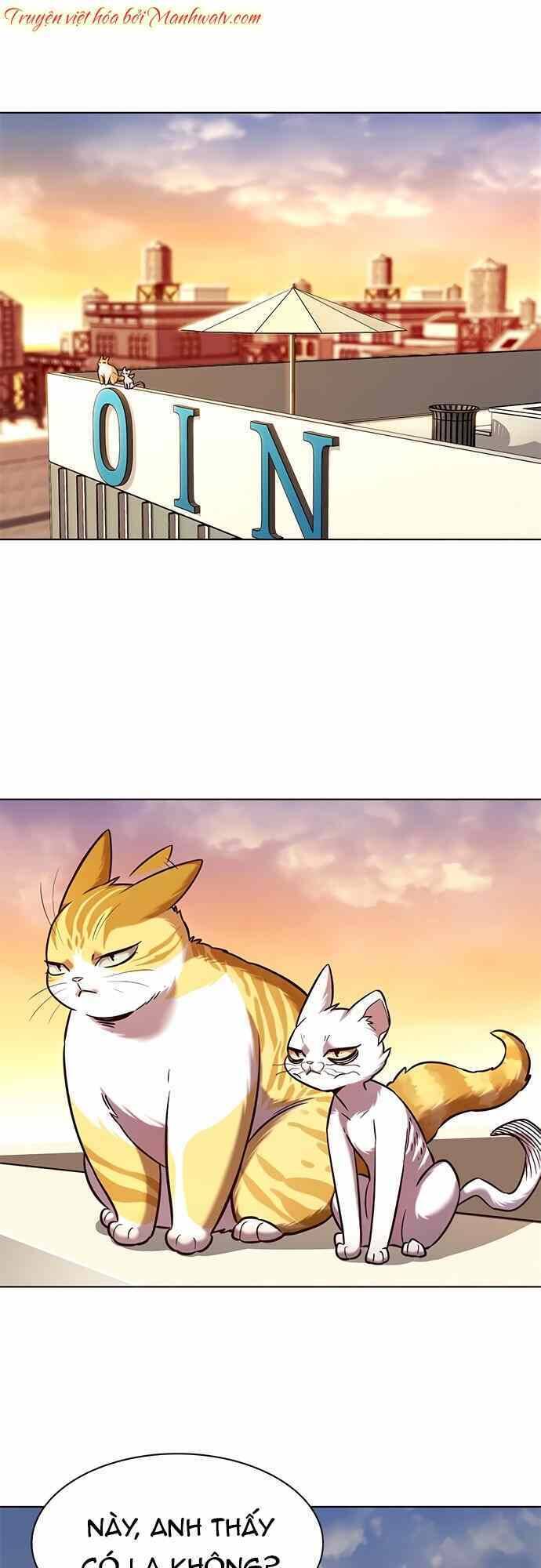 Hoá Thân Thành Mèo Chap 232 - Next Chap 233