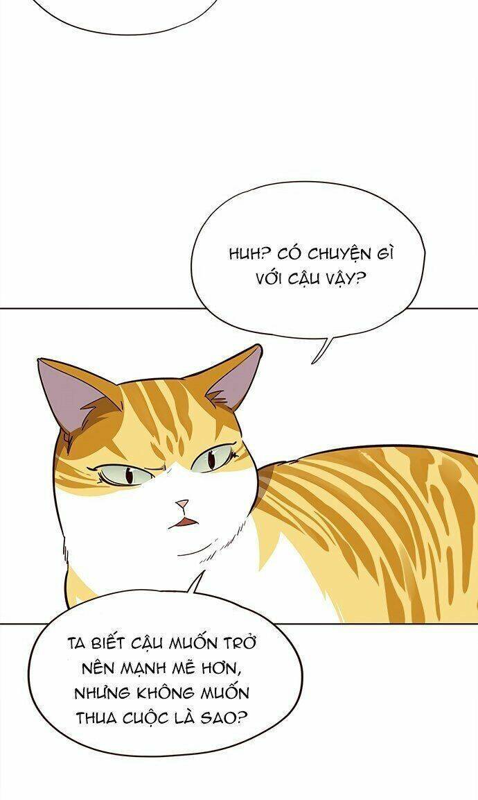 Hoá Thân Thành Mèo Chap 21 - Next Chap 22