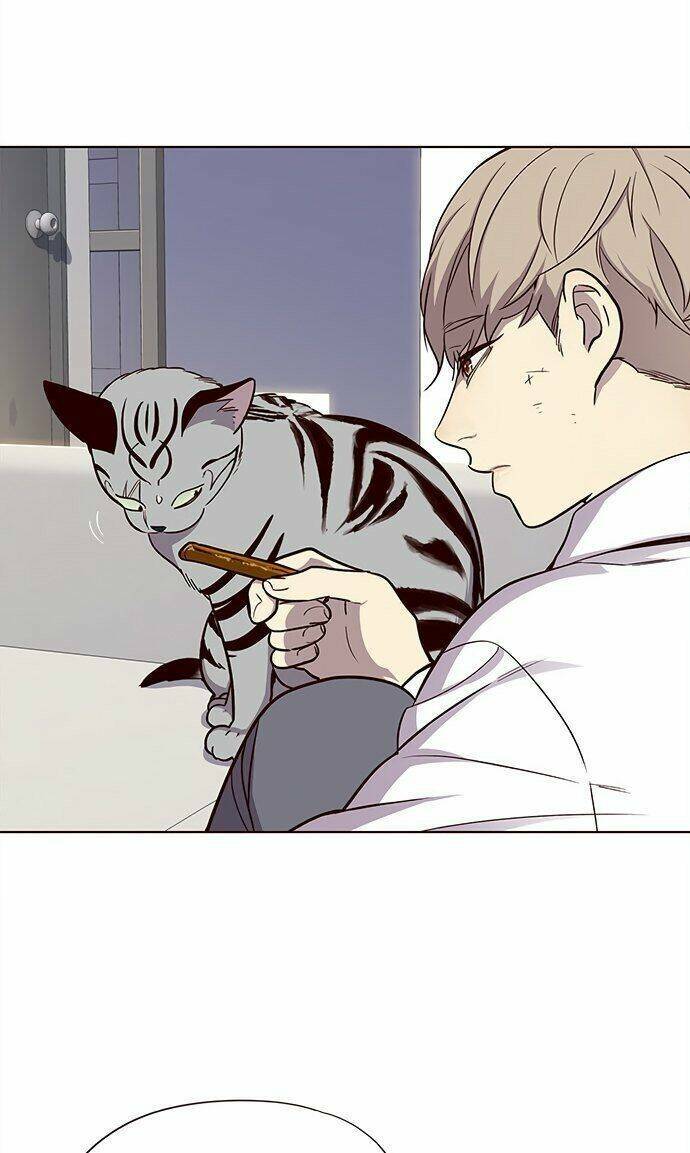 Hoá Thân Thành Mèo Chap 21 - Next Chap 22