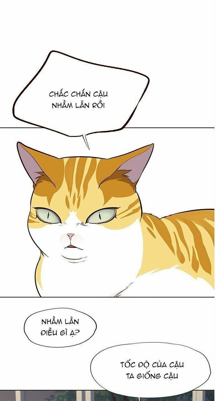 Hoá Thân Thành Mèo Chap 21 - Next Chap 22