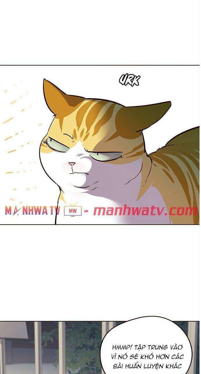 Hoá Thân Thành Mèo Chap 21 - Next Chap 22