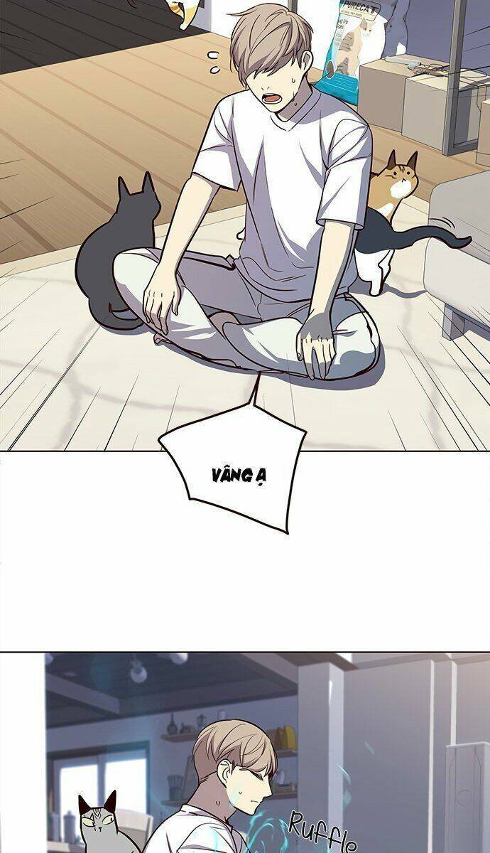 Hoá Thân Thành Mèo Chap 21 - Next Chap 22