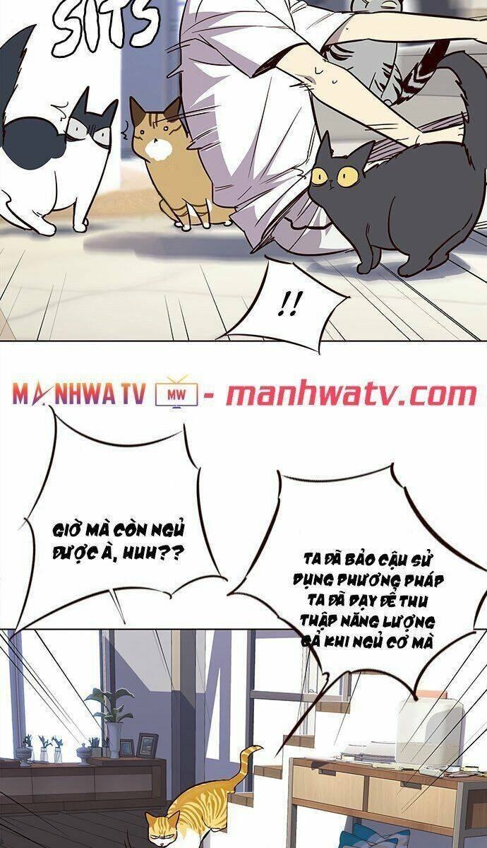 Hoá Thân Thành Mèo Chap 21 - Next Chap 22