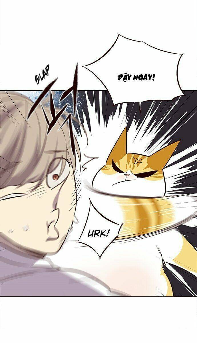 Hoá Thân Thành Mèo Chap 21 - Next Chap 22