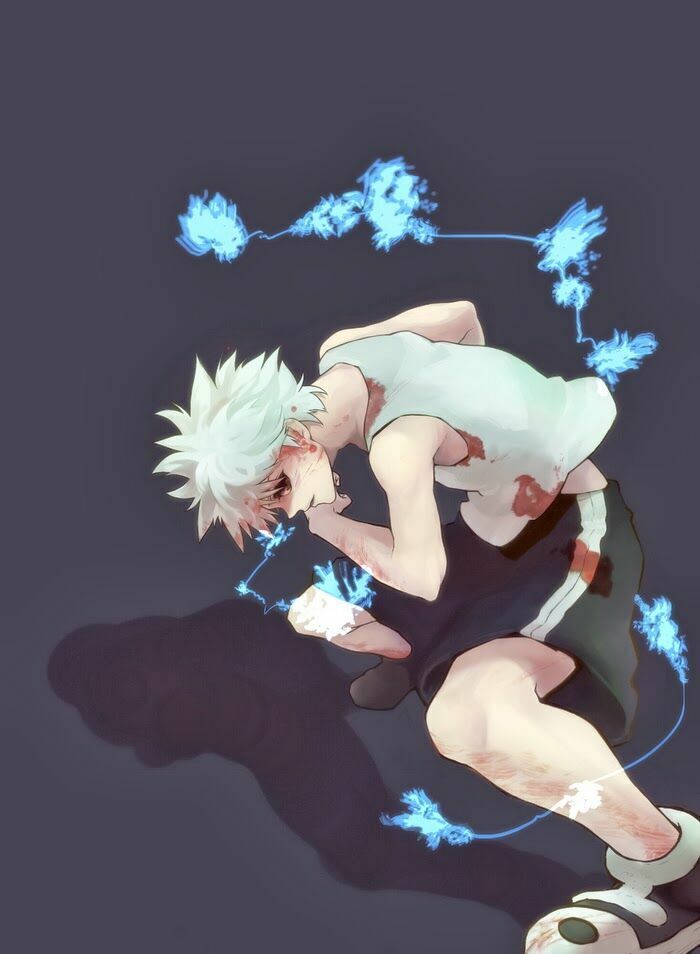 Hunter x Hunter Chap 135 - Next Chap 136