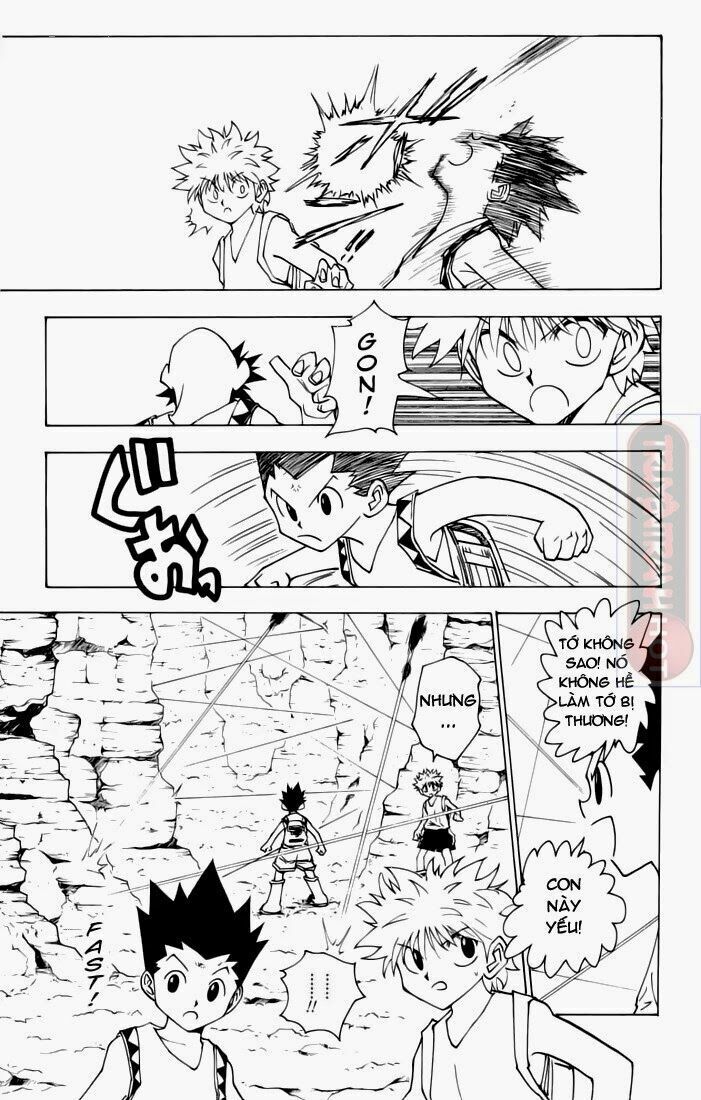 Hunter x Hunter Chap 136 - Next Chap 137