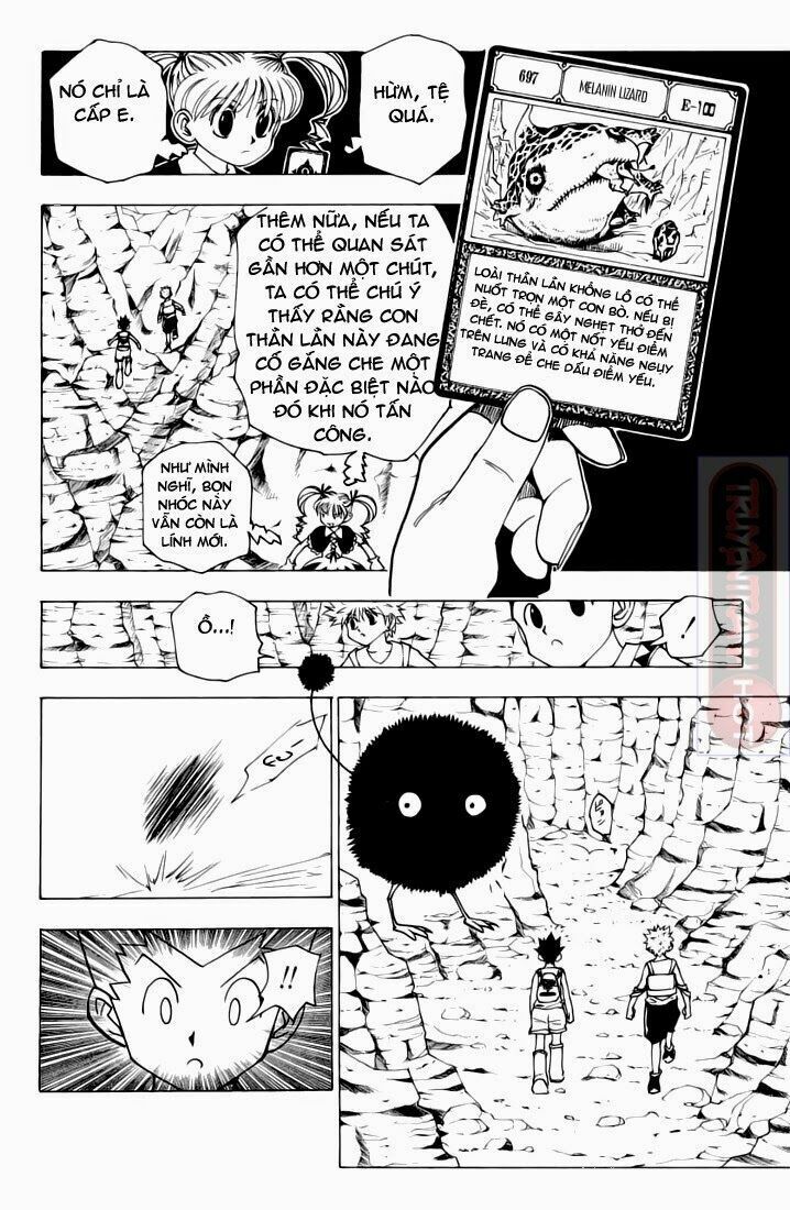 Hunter x Hunter Chap 136 - Next Chap 137
