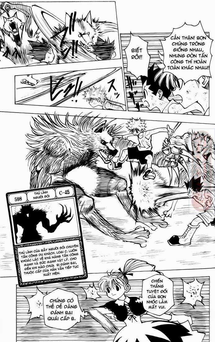 Hunter x Hunter Chap 146 - Next Chap 147