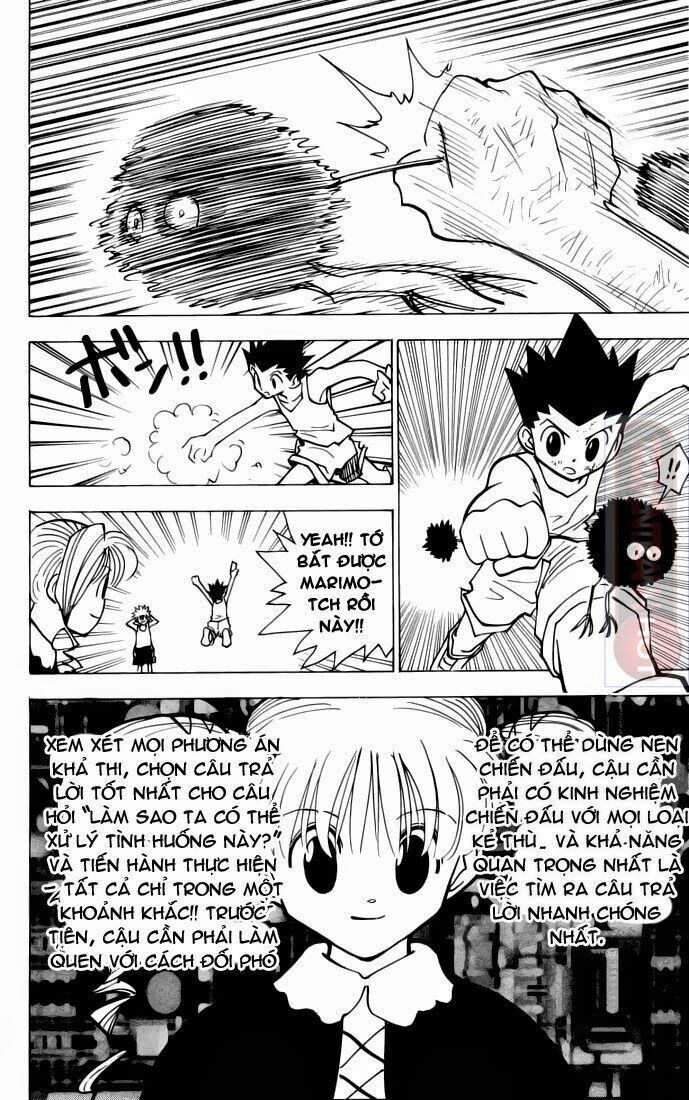 Hunter x Hunter Chap 141 - Next Chap 142
