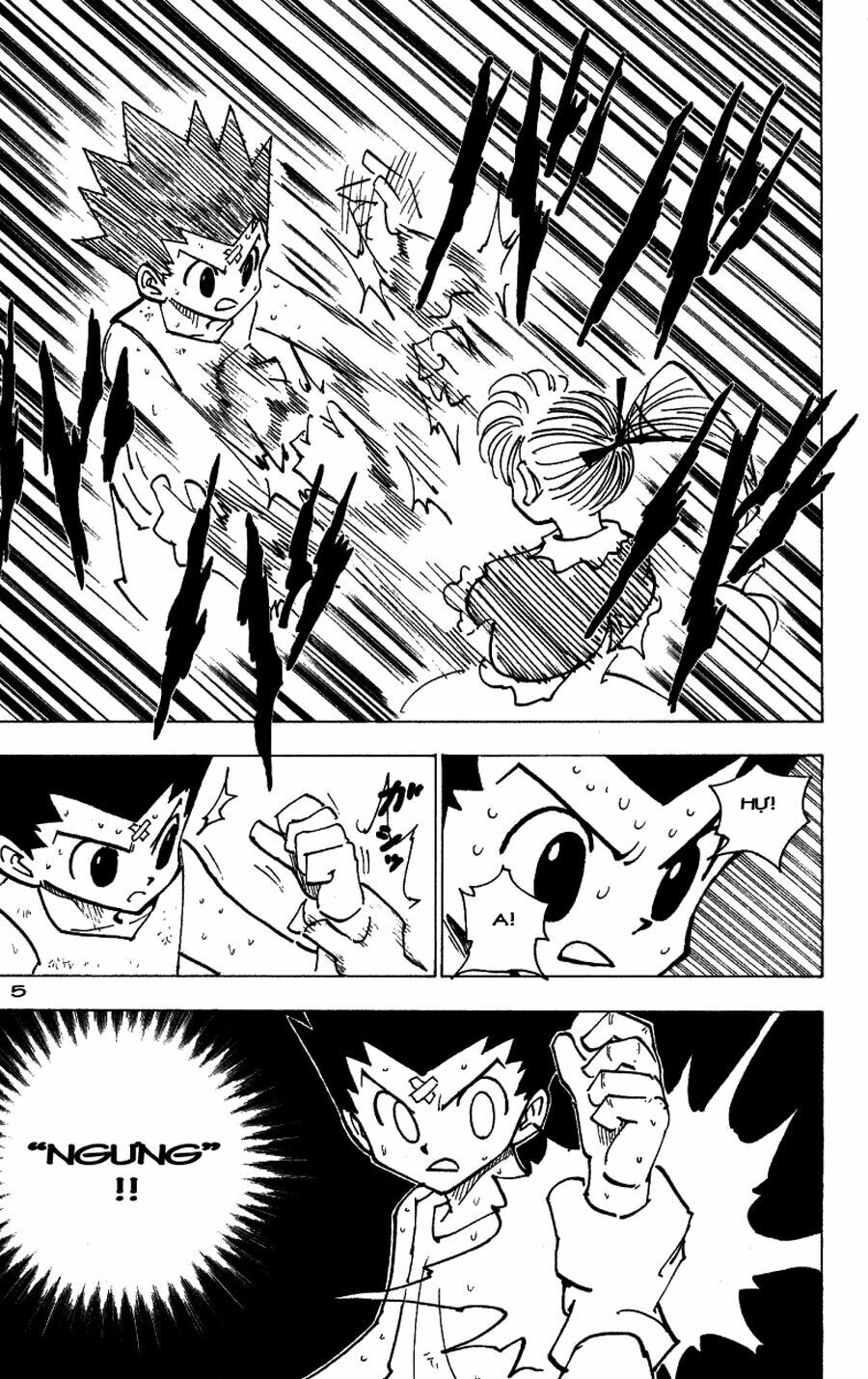 Hunter x Hunter Chap 171 - Next Chap 172