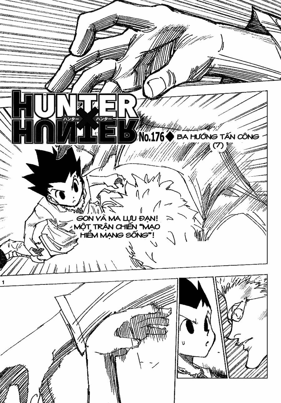 Hunter x Hunter Chap 176 - Next Chap 177