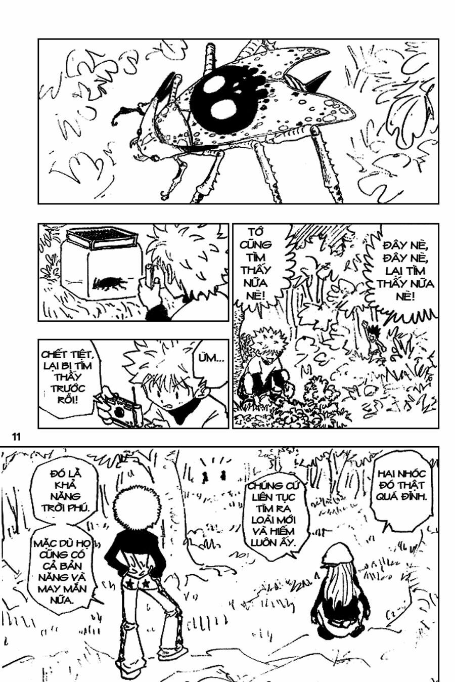 Hunter x Hunter Chap 186 - Next Chap 187