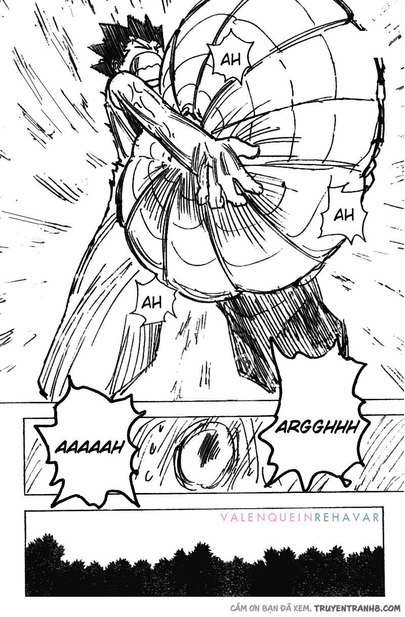 Hunter x Hunter Chap 195 - Next Chap 196