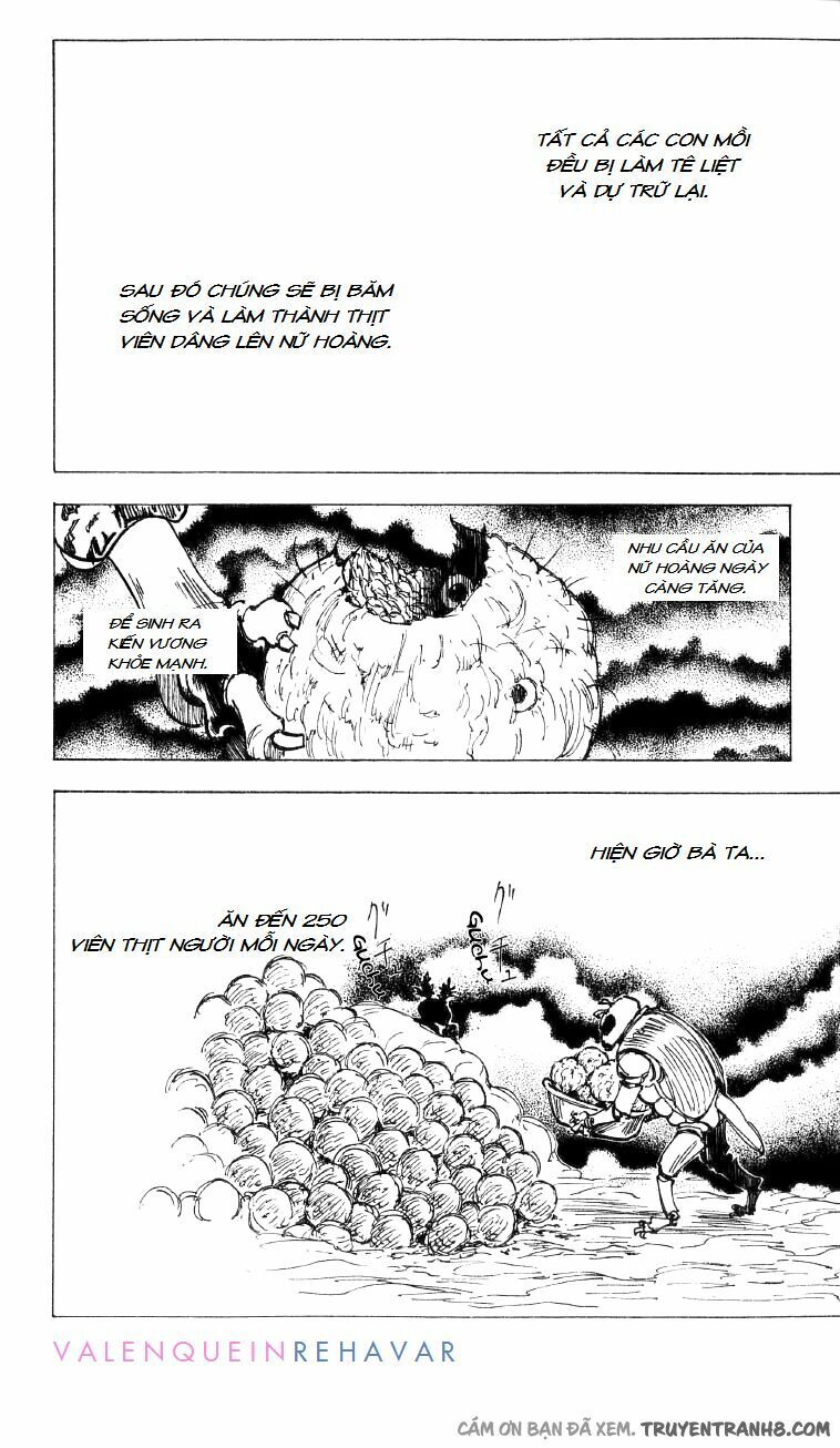 Hunter x Hunter Chap 197 - Next Chap 198