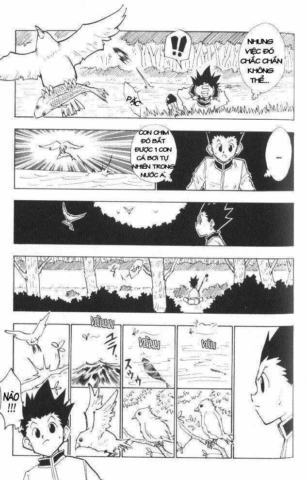 Hunter x Hunter Chap 24 - Next Chap 25