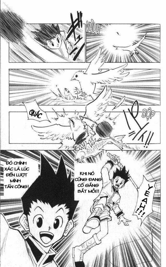 Hunter x Hunter Chap 24 - Next Chap 25