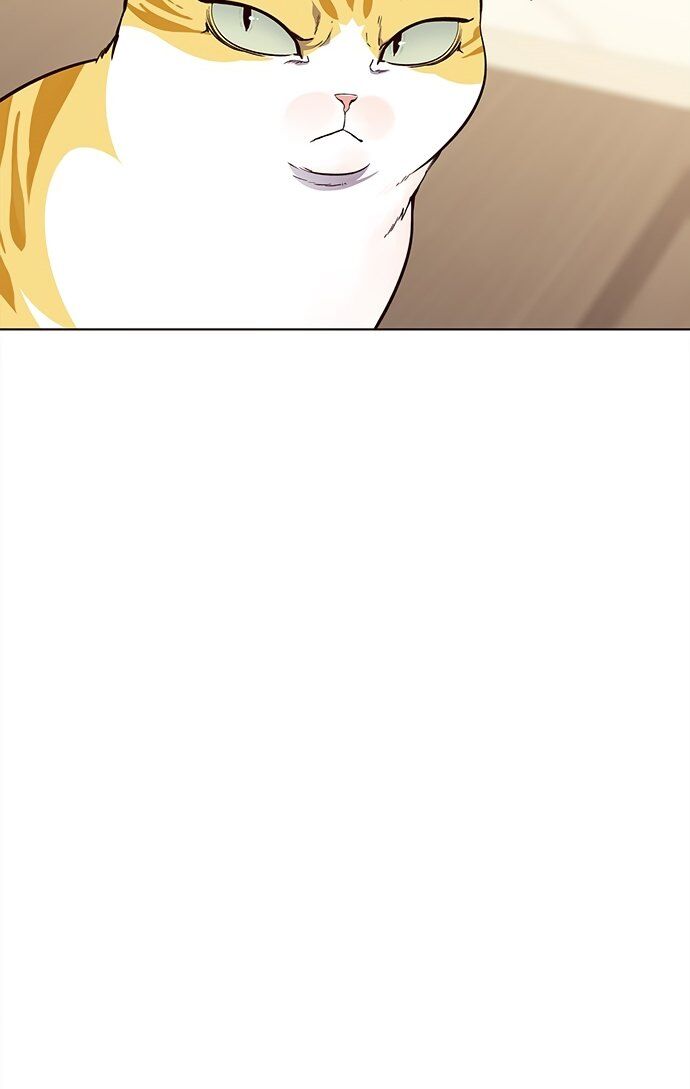 Hoá Thân Thành Mèo Chap 22 - Next Chap 23