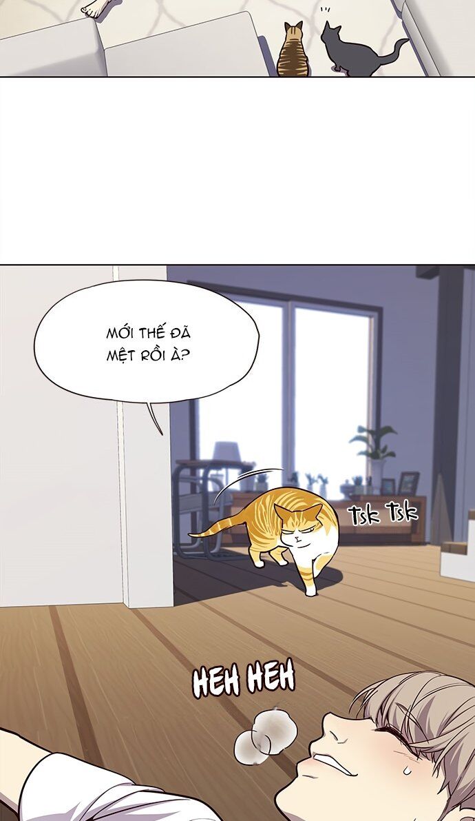 Hoá Thân Thành Mèo Chap 22 - Next Chap 23