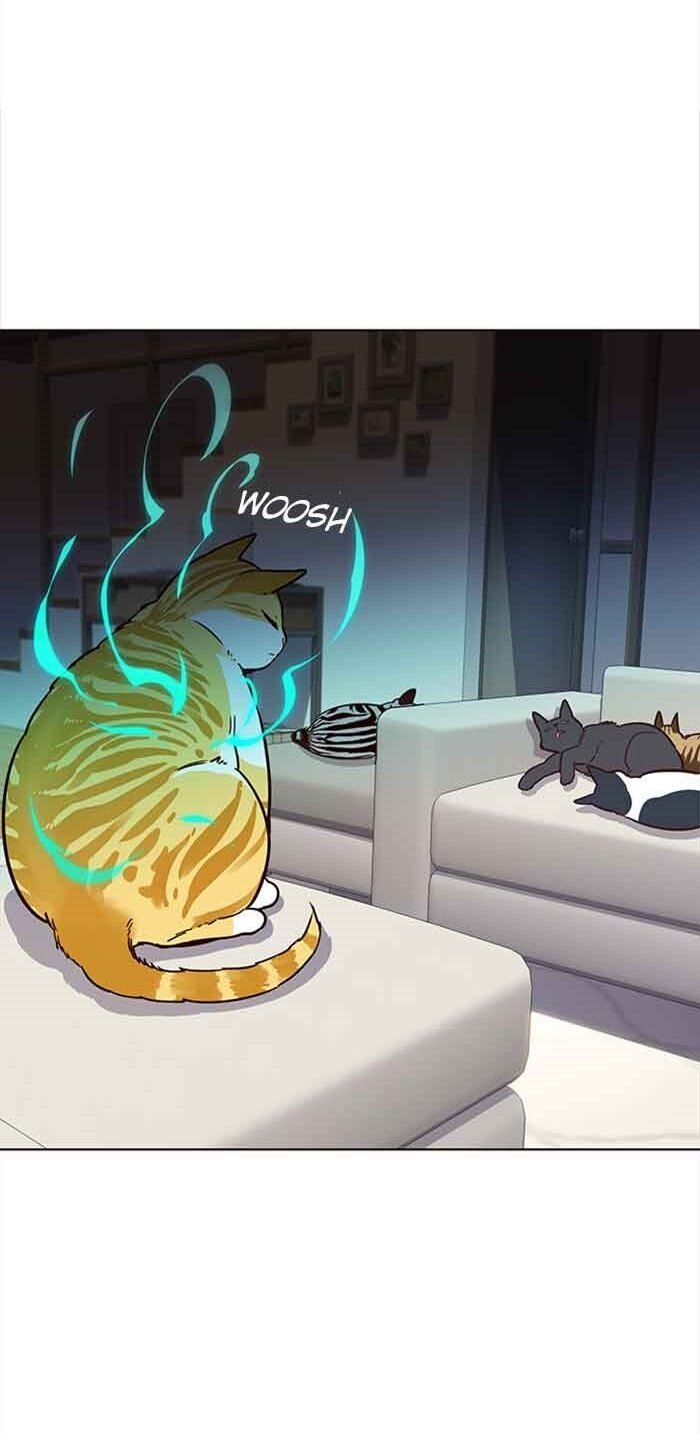 Hoá Thân Thành Mèo Chap 23 - Next Chap 24