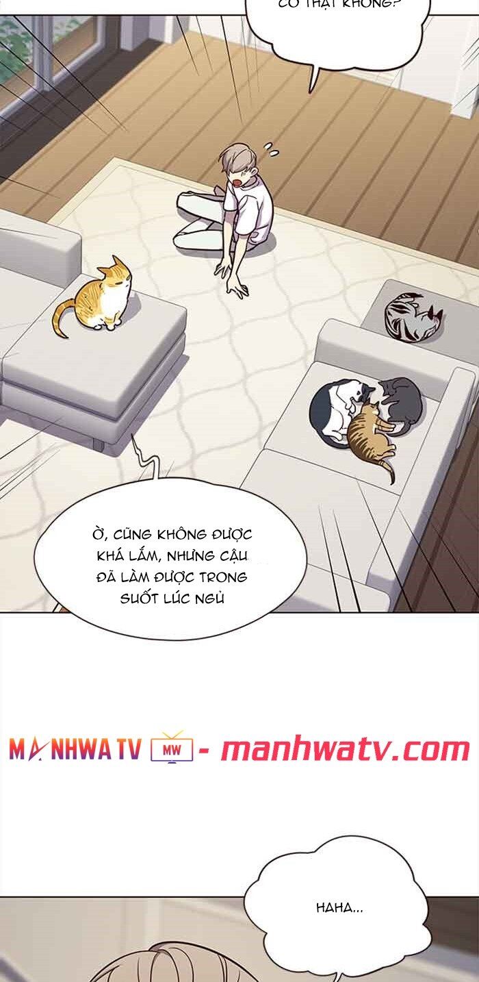 Hoá Thân Thành Mèo Chap 23 - Next Chap 24