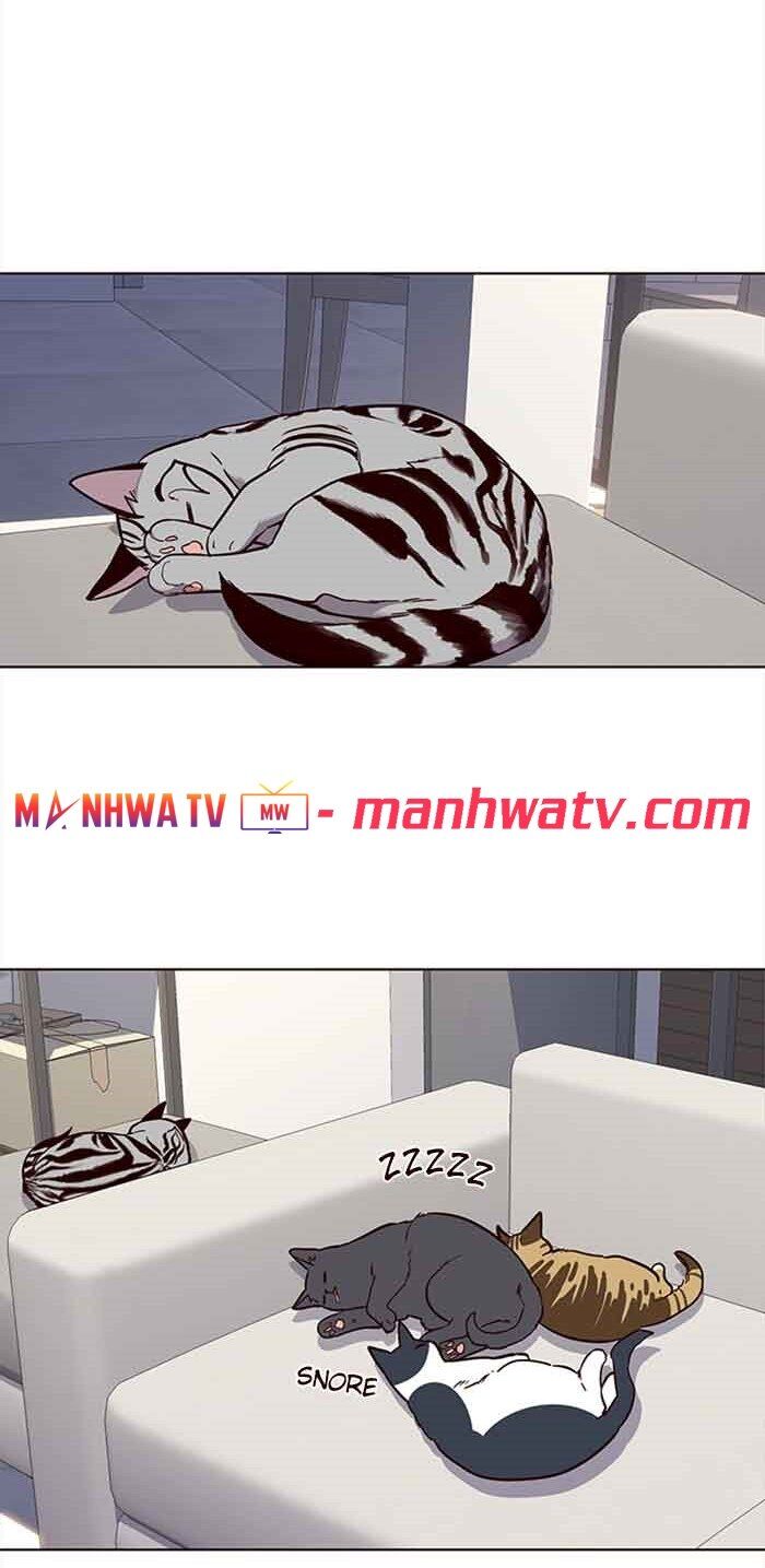 Hoá Thân Thành Mèo Chap 23 - Next Chap 24