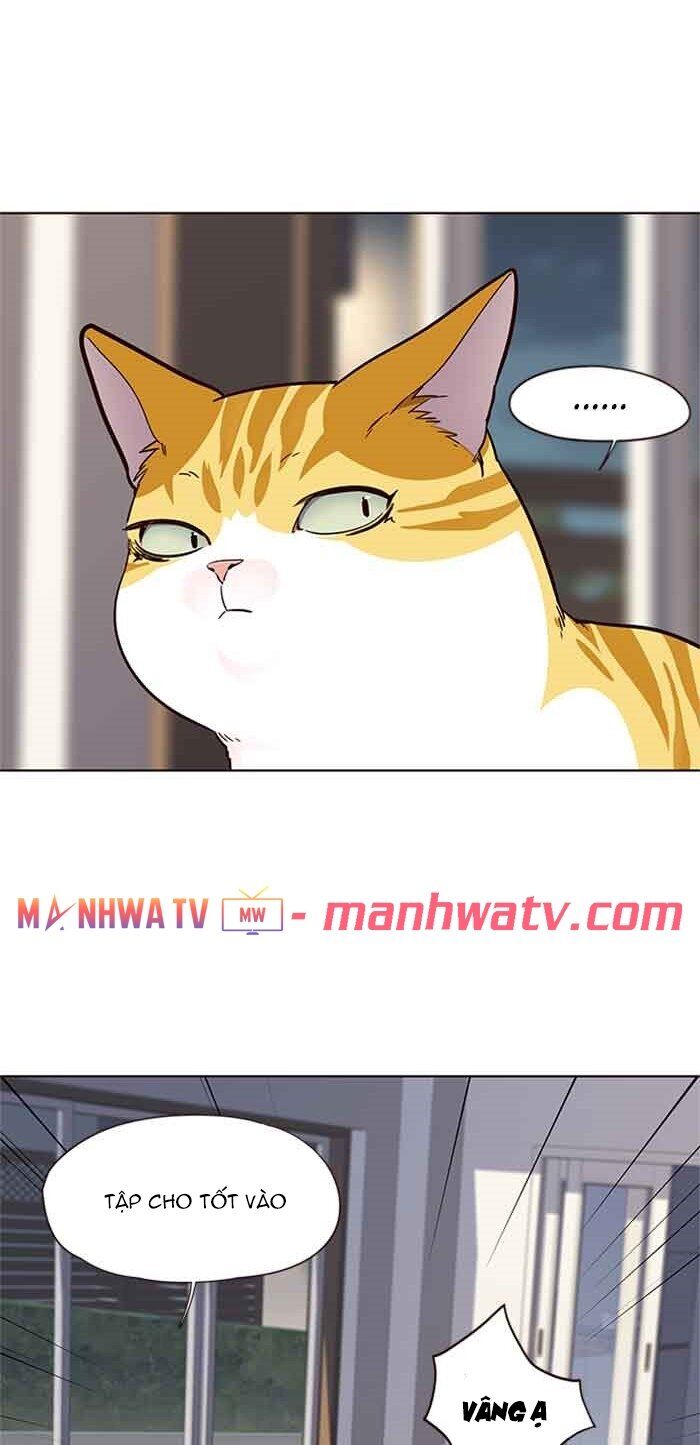Hoá Thân Thành Mèo Chap 23 - Next Chap 24