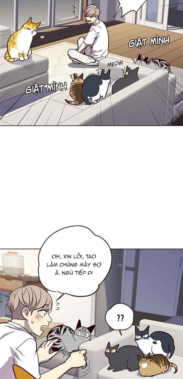 Hoá Thân Thành Mèo Chap 23 - Next Chap 24