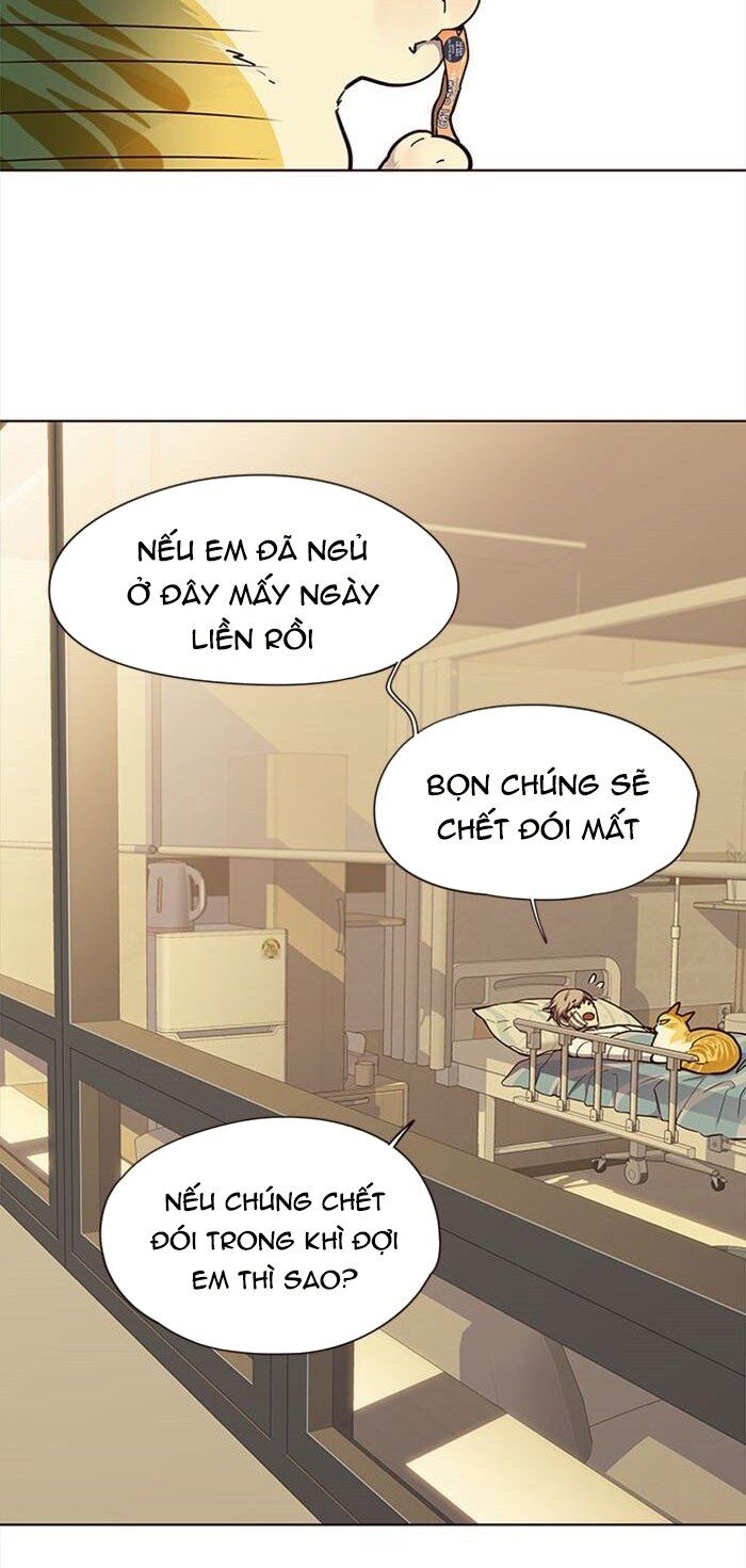Hoá Thân Thành Mèo Chap 30 - Next Chap 31