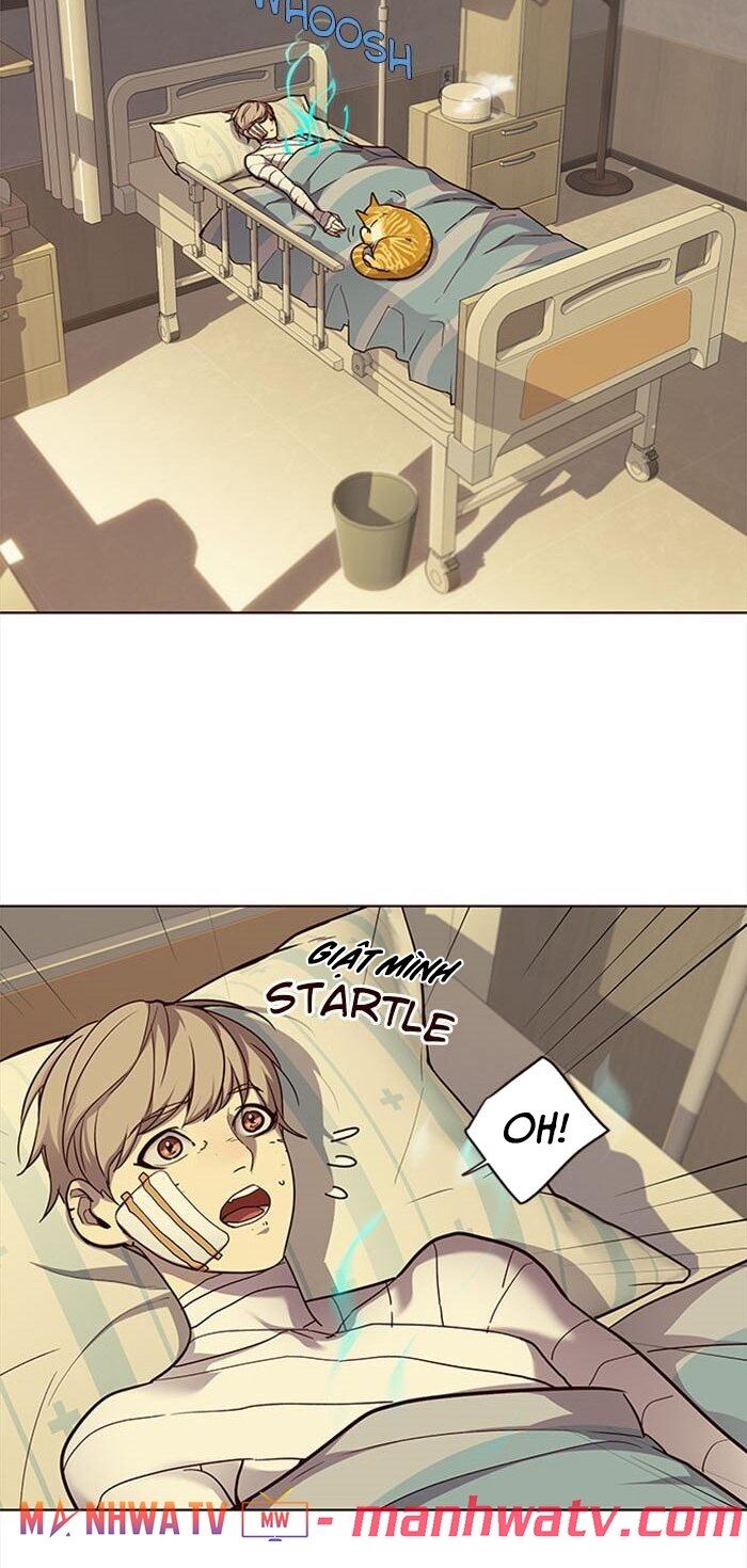 Hoá Thân Thành Mèo Chap 30 - Next Chap 31