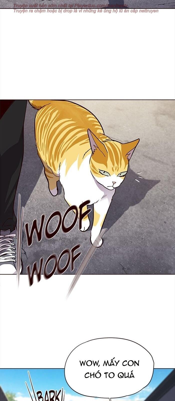 Hoá Thân Thành Mèo Chap 36 - Next Chap 37