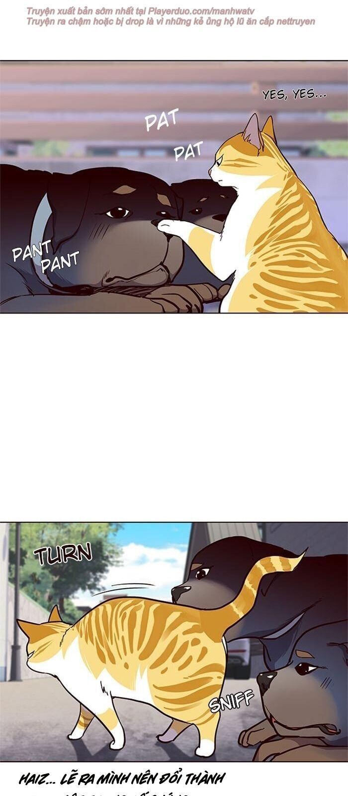 Hoá Thân Thành Mèo Chap 36 - Next Chap 37