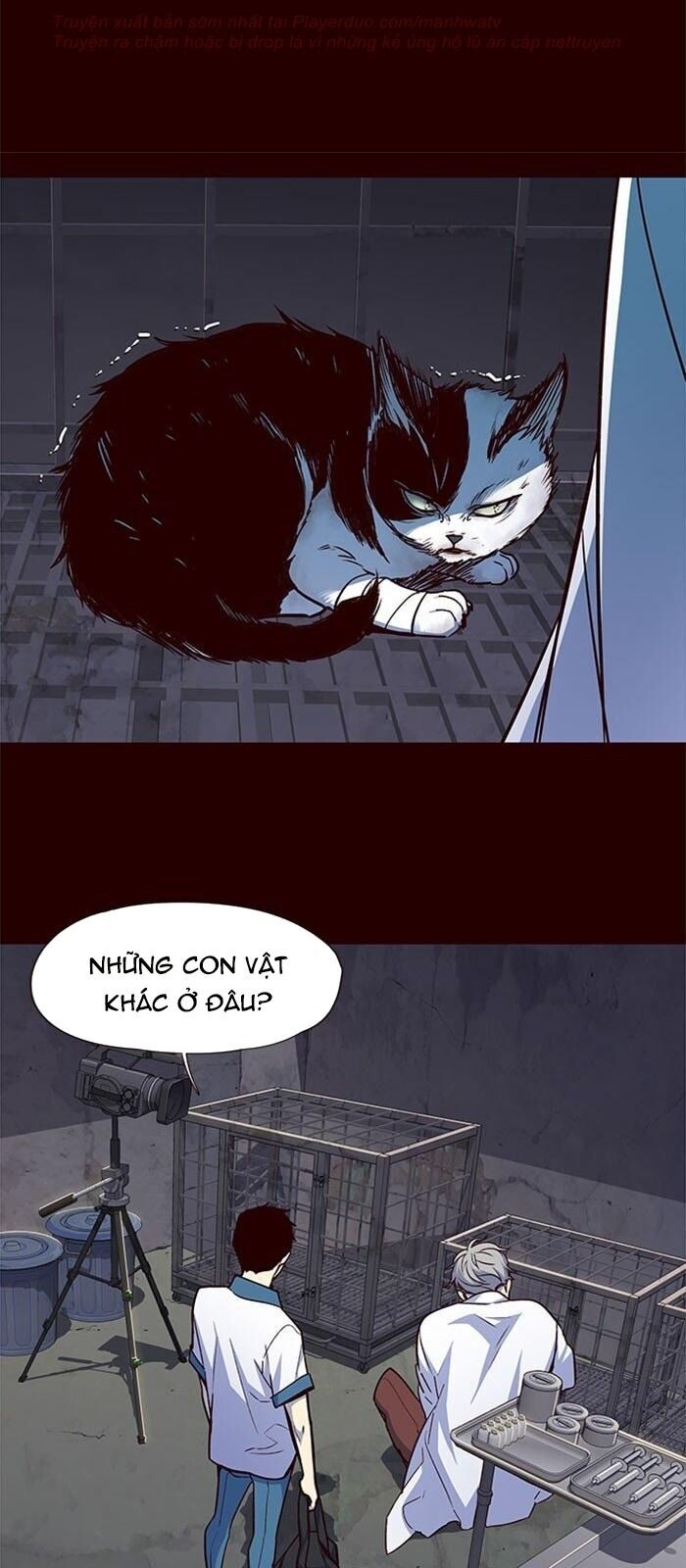 Hoá Thân Thành Mèo Chap 36 - Next Chap 37