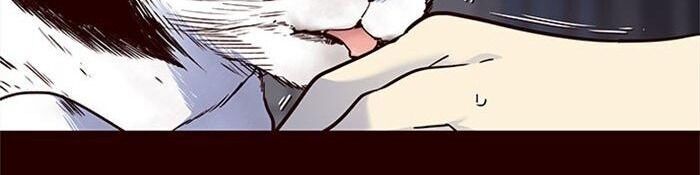 Hoá Thân Thành Mèo Chap 36 - Next Chap 37