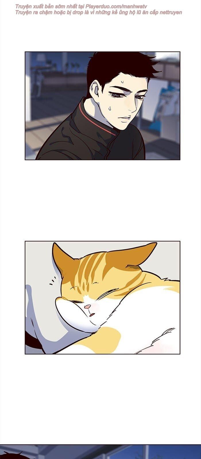 Hoá Thân Thành Mèo Chap 36 - Next Chap 37